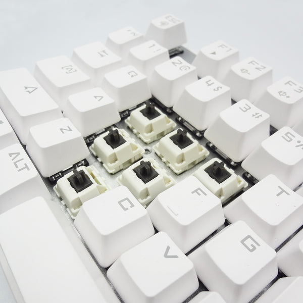 Koala Tactile Switches (20 pack)